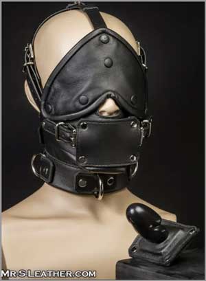 Head Harness and Mask